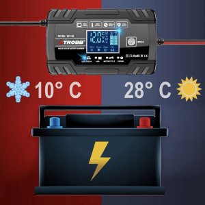 ExtraLink EXTRALINK AUTOMATYCZNY PROSTOWNIK DO AKUMULATORA 12/24V 8A NIEBIESKI 13