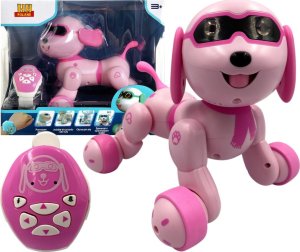 HH Poland Piesek Fafik interaktywny robot mówi śpiewa 2