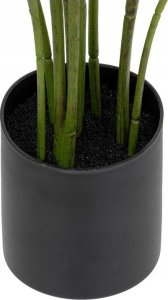 Atmosphera Sztuczna roślina strelicja, 97 cm 3