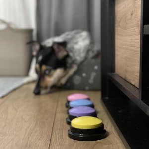 Purlov Przyciski dźwiękowe dla zwierząt Purlov 24615 4