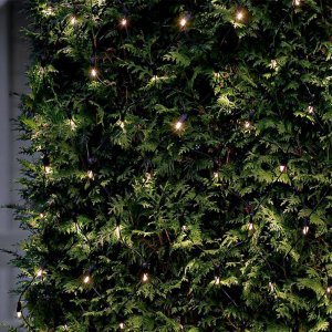 Lampki choinkowe Sirius Sirius Tech-Line Net StartSet 196L 2