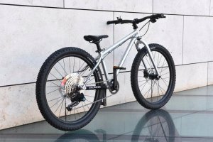 Rower Early Rider Seeker Bike 24" 12