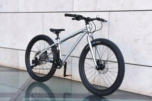 Rower Early Rider Seeker Bike 24" 13
