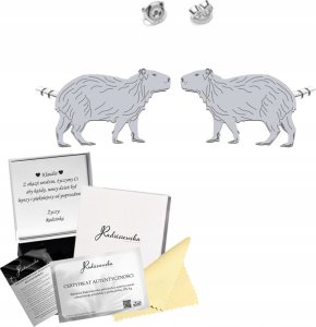 Radziszewska Jewellery Kolczyki Srebrne KAPIBARA Sztyfty Prezent Biżuteria 925 ŻYCZENIA GRATIS 1