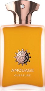Amouage Amouage Overture Man edp 100ml 1