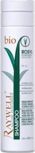 Raywell RAYWELL Szampon normalizujący do włosów ROSYL - 250ml 1