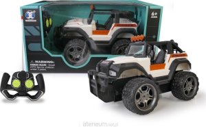 Artyk Auto terenowe R/C 173219 1