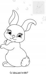 Domartstyl Brzdące kolor.Zwierz.na wsi nakl.św.w ciemn.78282 5