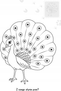 Domartstyl Brzdące kolor.Zwierz.w zoo nakl.św.w ciemn.78275 5