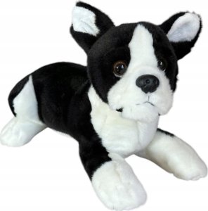 Dubi Pies boston terrier leżący 28cm 32164 1