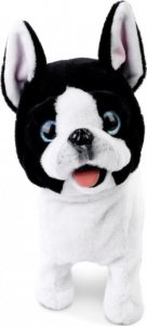 Artyk Piesek chodzący na smyczy 169120 3