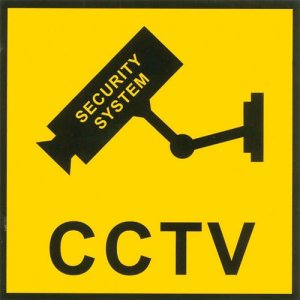 Platinium Atrapa kamery zewnętrznej migające światło LED naklejka Security System 4