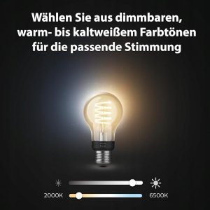 Philips Philips Hue White Ambiance E27 Filament 3erPack 2