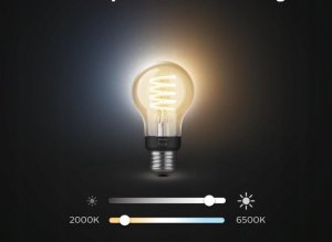 Philips Philips Hue White Ambiance E27 Filament 3erPack 6