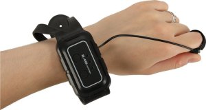 Bauer Samochód zdalnie sterowany z podwójnymi kołami 10