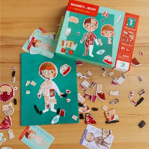 Dodo Magnetyczny Zestaw Edukacyjny Ludzkie Ciało Gra Magnetyczna Części Ciała 5