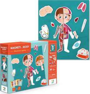 Dodo Magnetyczny Zestaw Edukacyjny Ludzkie Ciało Gra Magnetyczna Części Ciała 9