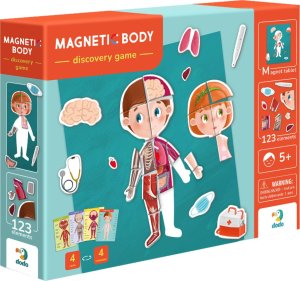 Dodo Magnetyczny Zestaw Edukacyjny Ludzkie Ciało Gra Magnetyczna Części Ciała 10