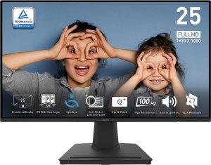 Monitor MSI PRO MP252 1