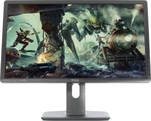 Monitor Dell Monitor P2412HB 24 1
