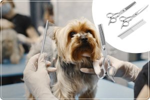 Pethaus Maszynka do strzyżenia zwierząt Pethaus PH-100 szara 7