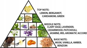 Al Haramain L'Aventure Iris Ekstrakt perfum spray 100ml 3