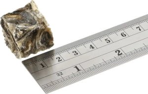 Fish4Dogs FISH4DOGS Dental Sea Jerky Fish Tiddlers - dog treat - 575g 3