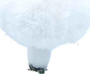 Christmas decoration Zawieszka dekoracyjna grzybek 8x12cm biały 2