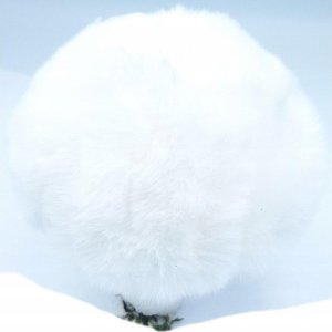 Christmas decoration Zawieszka dekoracyjna grzybek 8x12cm biały 3