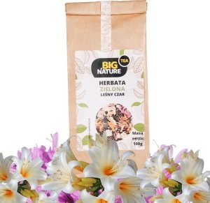 Big Nature Herbata Zielona Leśny Czar 100G - Big Nature 1
