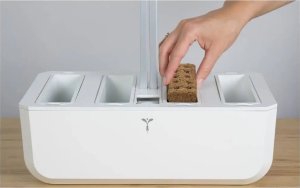 Veritable Véritable Lingot Maceška BIO* 3