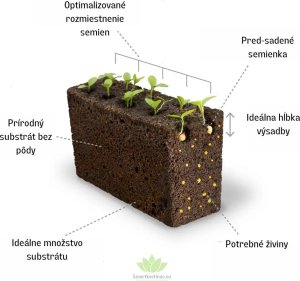 Veritable Véritable Lingot Kopr BIO* 10