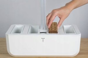 Veritable Prawdziwy Kostka Flox 2