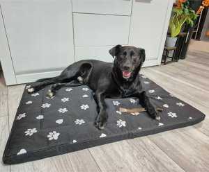 Purlov Legowisko 100x70cm dla psa 24862 6