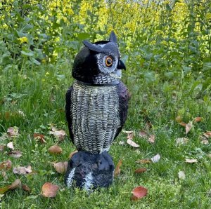 Garden King Solarny odstraszacz ptaków gołębi szpaków Sowa SONIC 3w1 z ruchomą głową 2