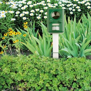 Garden King Elektroniczny solarny odstraszacz zwierząt z czujnikiem ruchu na kuny, lisy 2