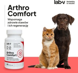 LAB V Arthro Comfort Kompleksowe wsparcie zdrowia stawów oraz układu ruchu dla psów i kotów 90 kapsułek 2