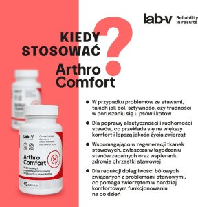 LAB V Arthro Comfort Kompleksowe wsparcie zdrowia stawów oraz układu ruchu dla psów i kotów 90 kapsułek 3
