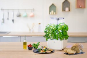 iGET Véritable Exky SMART - Automatyczny doniczka z regulacją oświetlenia, biała + 2 bylinkowe náplnie 2