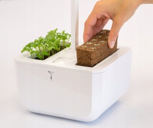 iGET Véritable Exky SMART - Automatyczny doniczka z regulacją oświetlenia, biała + 2 bylinkowe náplnie 3