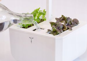 iGET Véritable Exky SMART - Automatyczny doniczka z regulacją oświetlenia, biała + 2 bylinkowe náplnie 4