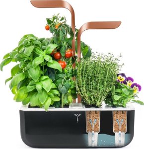 Anker Véritable SMART - Automatický květináč s regulací osvětlení, černá měděná + 4 bylinkové náplně 1