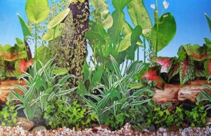 Aquael Aquael Leddy Mini 30 Baltas (13L) 14