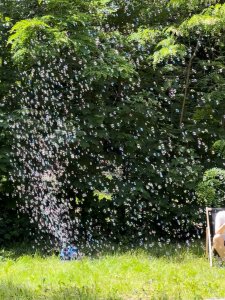 LIGHT4ME BM1 IR wytwornica baniek mydlanych wydajna pilot na podczerwień 2