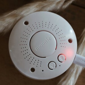 Sunny baby Moonie pluszowy miś piaskowy (Sand) 7