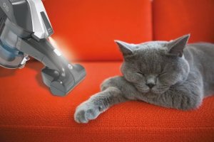 Hoover | Vacuum Cleaner | HF322TP 011 | Cordless operating | 240 W | 22 V | Operating time (max) 40 min | Grey 10