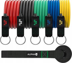 Zestaw 5 Gum Oporowych do Ćwiczeń Gumy Fitness Bands Ekspander Alpha 5