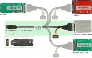 Delock DELOCK  ADAPTER M.2 KEY M DO U.2 SFF-8639 NVME Z KABLEM 50 CM  () 2