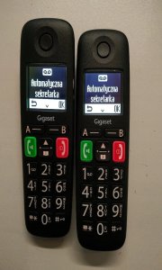 Gigaset E290 Duo black L36852-H2901-B101 7