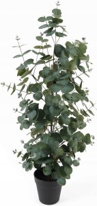 Sztuczny eukaliptus w doniczce EDEN, 78 cm 1